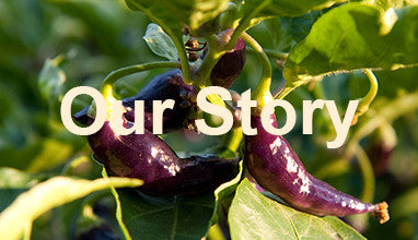 Our Story